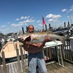 Profile Picture of John Russo (@jjrusso2) on Instagram