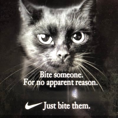 Profile Picture of Erik Fortier (@ErikFortier1) on Twitter