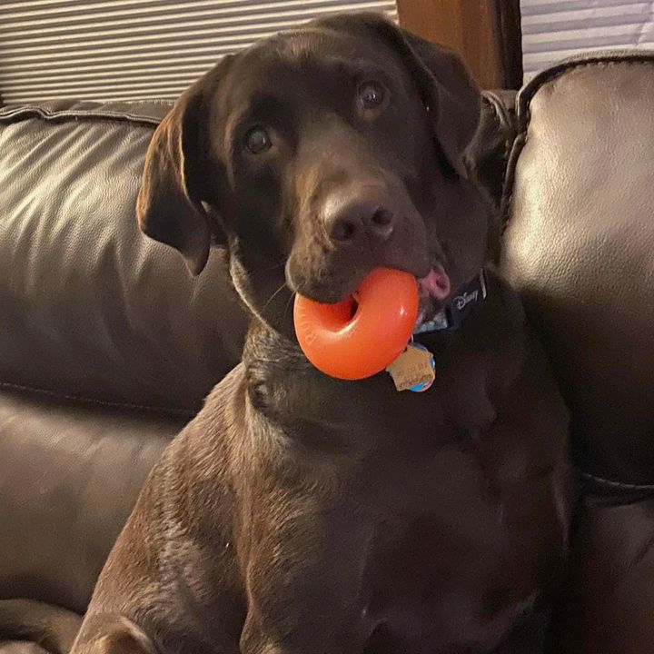 Profile Picture of chuckhodges645 (@chuckhodges645) on Tiktok