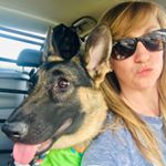 Profile Picture of Andrea Rigby (@winstonsalemdogtrainer) on Instagram