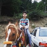 navid afzal zadeh - Instagram Profile Picture of navid afzal zadeh (@navid.afzal2019) on Instagram