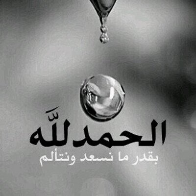 Profile Picture of Marwan Omar (@marwanomar6435) on Twitter