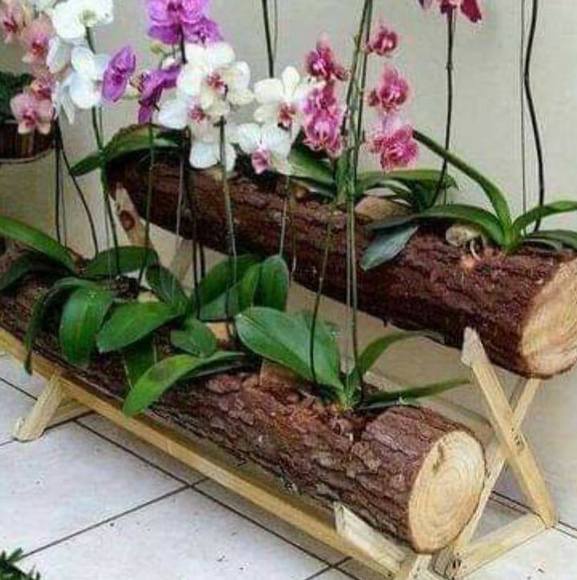 Profile Picture of Sandoval Sandoval (@pasitasandoval) on Poshmark