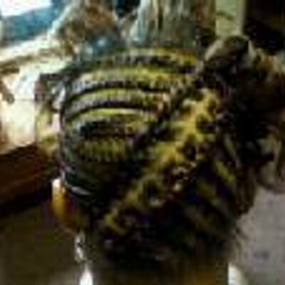 Shontay Jones - Twitter Profile Picture of Shontay Jones (@JonesShontay) on Twitter