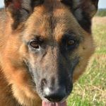 Profile Picture of Catherine Patron (@catherinepatron) on Instagram