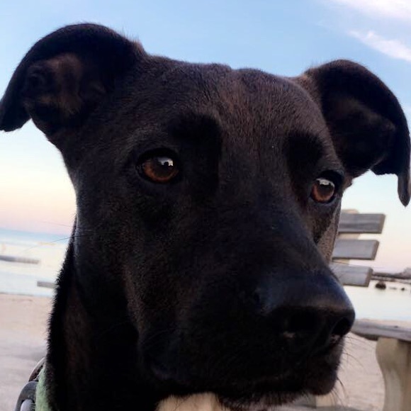 Profile Picture of Erica Morabito (@ericamorabito) on Poshmark