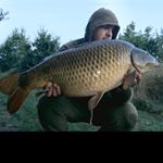 Profile Picture of Aaron Wheeler (@bigslim2011) on Instagram