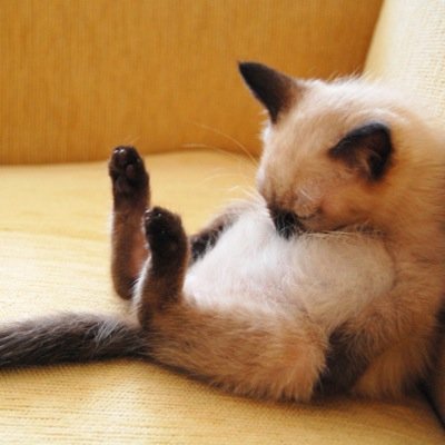 Michael Ende - Twitter Profile Picture of Michael Ende (@miabchel) on Twitter