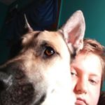 Profile Picture of dylan mashburn (@freddyfazbear1238) on Instagram