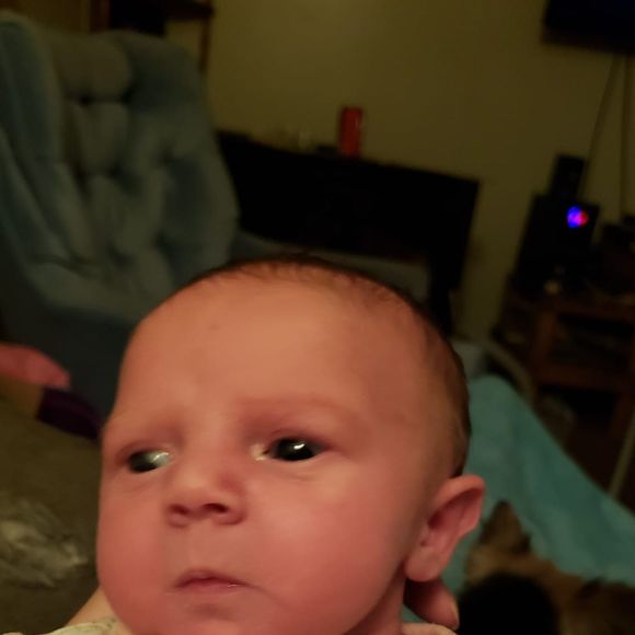 Profile Picture of Jessica Muellner (@jmm31892) on Poshmark