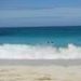 Profile Picture of Lisa Matheny Peters (@dillypete) on Pinterest