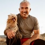 Profile Picture of Cesar millan (@cesar_millan01) on Instagram