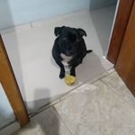 Jose Carlos Gonçalves Paz - Instagram Profile Picture of Jose Carlos Gonçalves Paz (@josecarlosgoncalves.paz) on Instagram