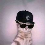 Profile Picture of Raven Neil (@Raven-Neil) on Facebook