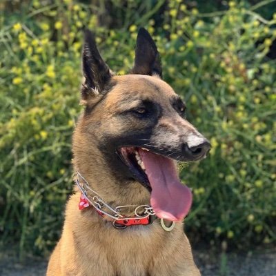 Profile Picture of Brad Sweatt (@BradSweatt1) on Twitter