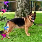 Profile Picture of Nancy Seifrid (@nancy.seifrid) on Facebook