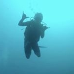 Profile Picture of Brian McFarlane (@real_xanture) on Instagram