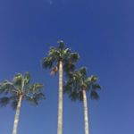 Profile Picture of Robert Gąsiorowski (@robert.gasiorowski.1) on Instagram