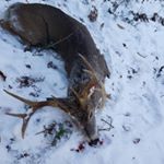 blake seelye - Instagram Profile Picture of blake seelye (@blake_seelye2.70) on Instagram