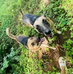 Profile Picture of Richard Riedel (@richard.riedel.2025) on Facebook