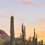 Profile Picture of Cindy Proctor (@cindystrawnproctor) on Instagram