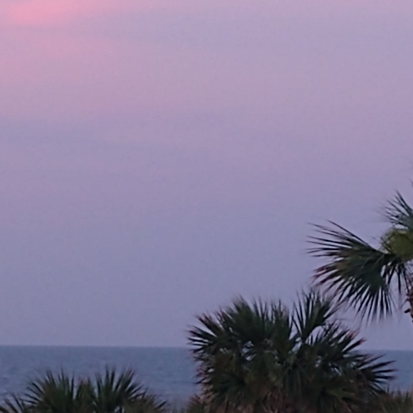 Profile Picture of Kim Butts (@kibu77) on Poshmark