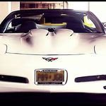 Profile Picture of Michael Gioia (@michael.gioia.90) on Instagram