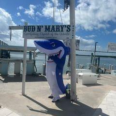 Profile Picture of Michael Bing (@michaelbing96) on Tiktok