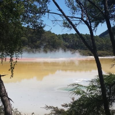 Profile Picture of Lorraine Marshall (@terilorraine) on Twitter