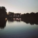 Profile Picture of Oliver Sielschott (@oliver.sielschott) on Instagram