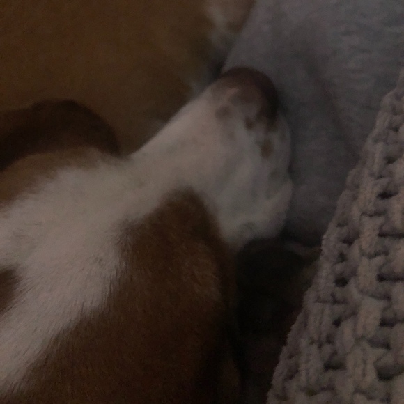 Profile Picture of Andrew Marks (@amarks_3) on Poshmark