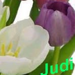 Profile Picture of Judi Uva (@judi.uva) on Facebook