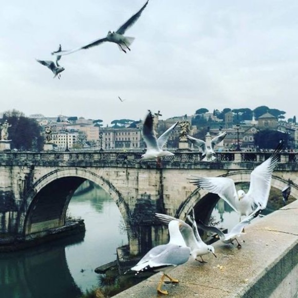 Profile Picture of Mohamed Emad (@mohamedemad) on Poshmark