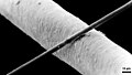 Profile Picture of Composite materialon Wikipedia