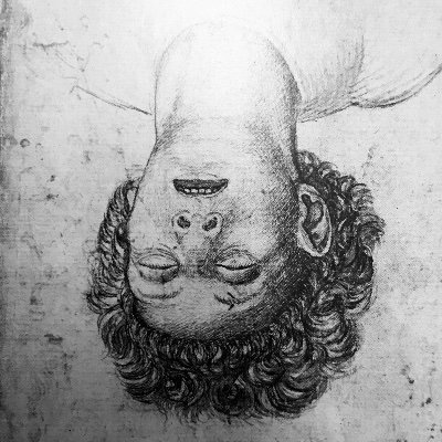 Profile Picture of Lisa Gianotti (@GianottiLisa) on Twitter