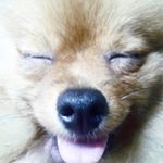 Profile Picture of Alex Ochman (@ochman_alex) on Instagram