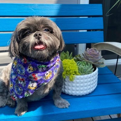 Profile Picture of Grady Hooper (@GradyHooper20) on Twitter