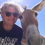 Profile Picture of roberto carlin (@roberto.carlin) on Instagram