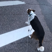 Profile Picture of Mya Vander Pol (@myavanderpol9949) on Youtube