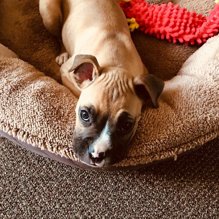Profile Picture of Shirley Witt (@shirleywitt) on Tiktok