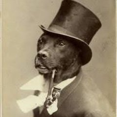 Profile Picture of James K Presnell (@g8orh8r) on Twitter