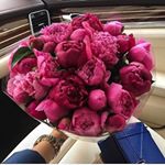 Profile Picture of Товары Для Мам И Детишкам (@vse_dlya_mamam_malisham) on Instagram