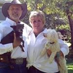 Profile Picture of Nancy Holt Stapleton (@nancystapleton) on Instagram