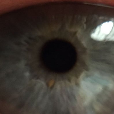 Profile Picture of Jason Deign (@DeigninSpain) on Twitter