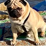 Profile Picture of Mark Duckett (@mark.duckett.1481) on Facebook