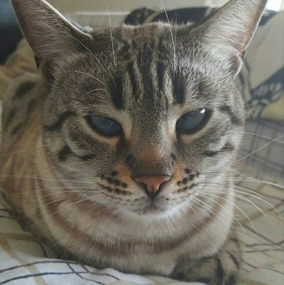 Profile Picture of Amanda Stoyer (@astoy713) on Poshmark