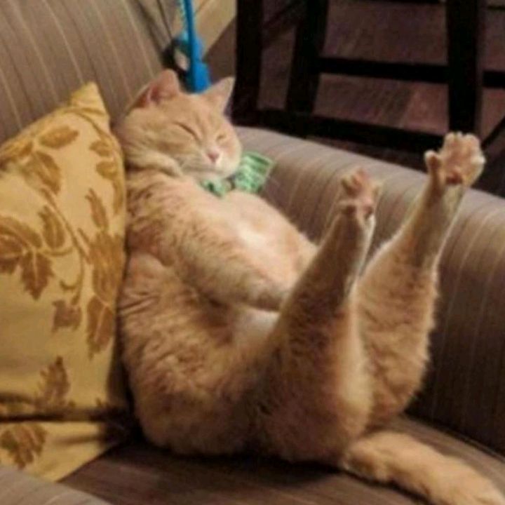 Profile Picture of Paul McKeever (@pueblo251) on Tiktok