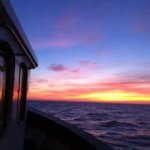 Profile Picture of Matthew Hunkin (@matthewhunkin) on Instagram