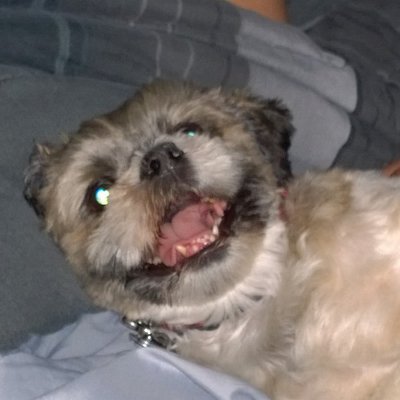 Profile Picture of David Kinsley (@CupcakesDavid) on Twitter