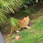 Profile Picture of Tyler Welch (@tyler_welch645) on Instagram